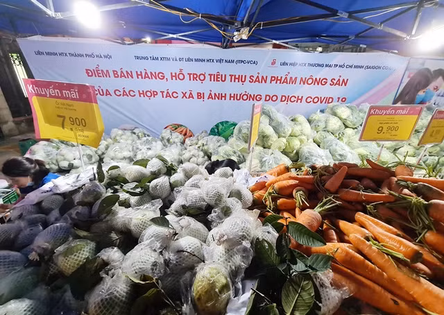 BigC, Co.opmart, Vinmart cung giai cuu nong san Hai Duong-Hinh-8