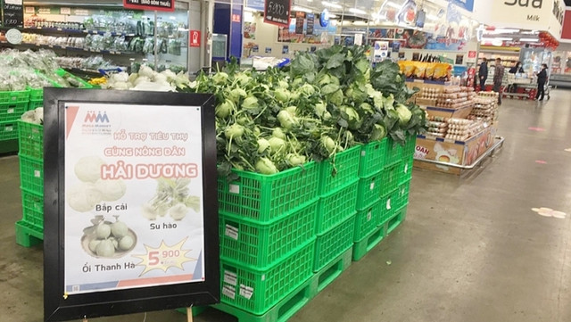 BigC, Co.opmart, Vinmart cũng giải cứu nông sản Hải Dương - Hình 15 BigC, Co.opmart, Vinmart cung giai cuu nong san Hai Duong-Hinh-15