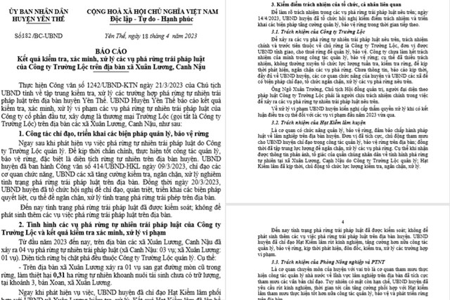 Rung tu nhien do Cong ty Truong Loc quan ly bi pha: Ai chiu trach nhiem?-Hinh-3