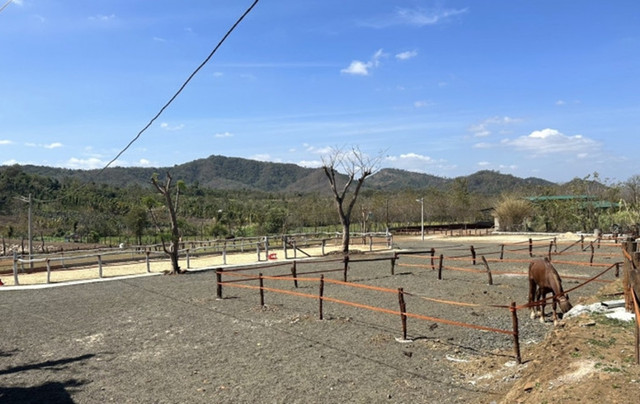 Hình ảnh tháo dỡ loạt công trình trái phép của giám đốc công ty Đoàn Thành Đắk Lắk - Hình 4 Hinh anh thao do loat cong trinh trai phep cua giam doc cong ty Doan Thanh Dak Lak-Hinh-4