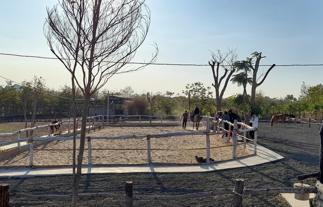 Hình ảnh tháo dỡ loạt công trình trái phép của giám đốc công ty Đoàn Thành Đắk Lắk - Hình 5 Hinh anh thao do loat cong trinh trai phep cua giam doc cong ty Doan Thanh Dak Lak-Hinh-5