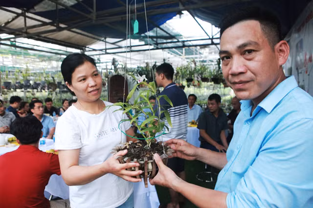 Dai gia Ha Noi chi 5 ty mua gio lan nhin nhu ngon rau muong-Hinh-8