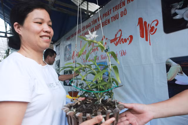 Dai gia Ha Noi chi 5 ty mua gio lan nhin nhu ngon rau muong-Hinh-2