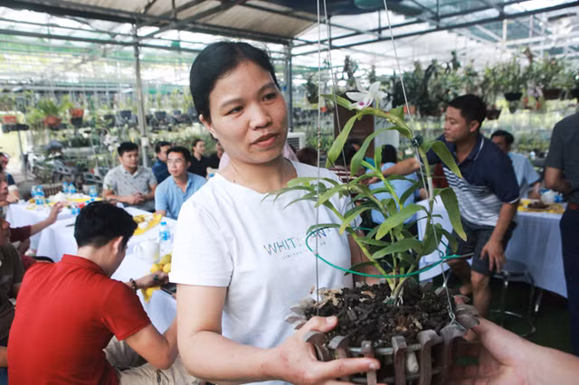 Dai gia Ha Noi chi 5 ty mua gio lan nhin nhu ngon rau muong-Hinh-9