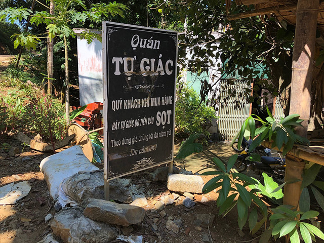 2 cây sanh danh tiếng bậc nhất Việt Nam giá 24 tỷ - Hình 5 2 cay sanh danh tieng bac nhat Viet Nam gia 24 ty-Hinh-5