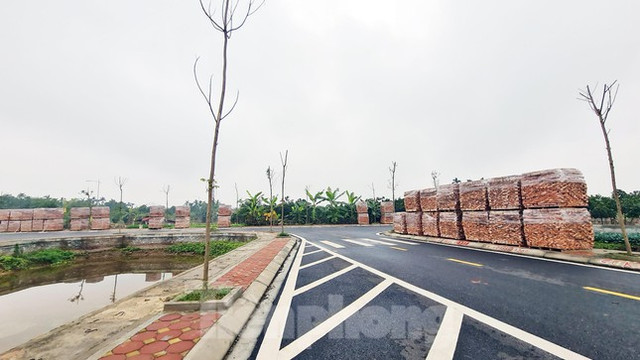 Cận cảnh lô đất hơn 3.000 m2 vi phạm đấu giá ở huyện Đan Phượng - Hình 6 Can canh lo dat hon 3.000 m2 vi pham dau gia o huyen Dan Phuong-Hinh-6