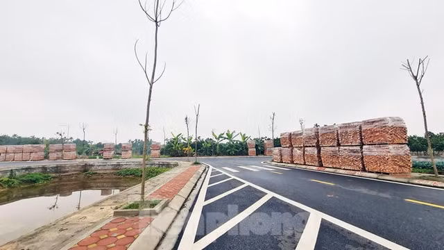 Can canh lo dat hon 3.000 m2 vi pham dau gia o huyen Dan Phuong-Hinh-6