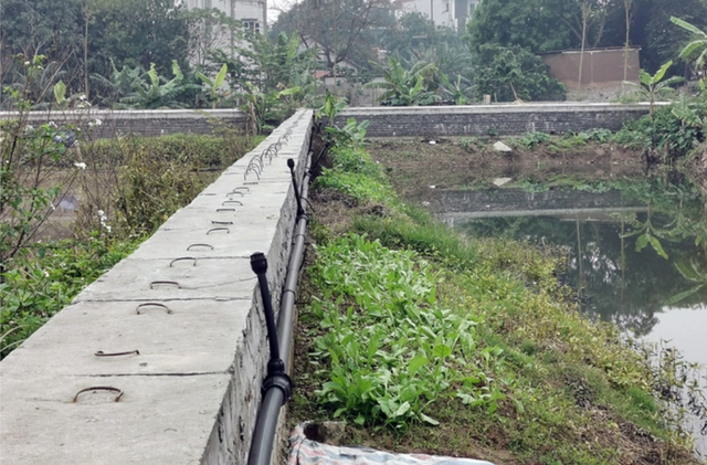Cận cảnh lô đất hơn 3.000 m2 vi phạm đấu giá ở huyện Đan Phượng - Hình 8 Can canh lo dat hon 3.000 m2 vi pham dau gia o huyen Dan Phuong-Hinh-8