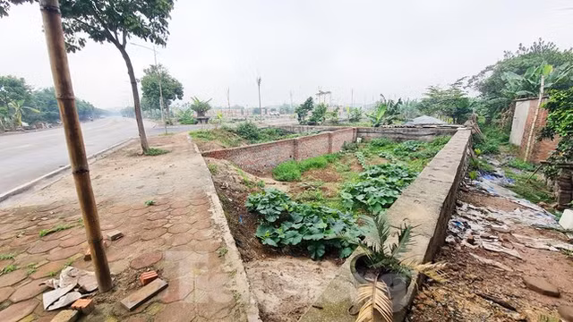 Can canh lo dat hon 3.000 m2 vi pham dau gia o huyen Dan Phuong-Hinh-7