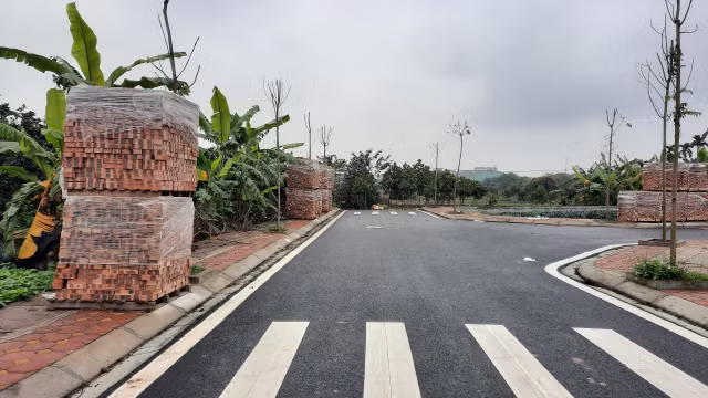 Can canh lo dat hon 3.000 m2 vi pham dau gia o huyen Dan Phuong-Hinh-4