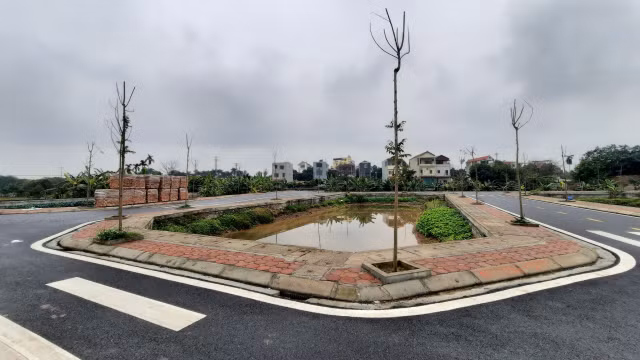 Can canh lo dat hon 3.000 m2 vi pham dau gia o huyen Dan Phuong-Hinh-3