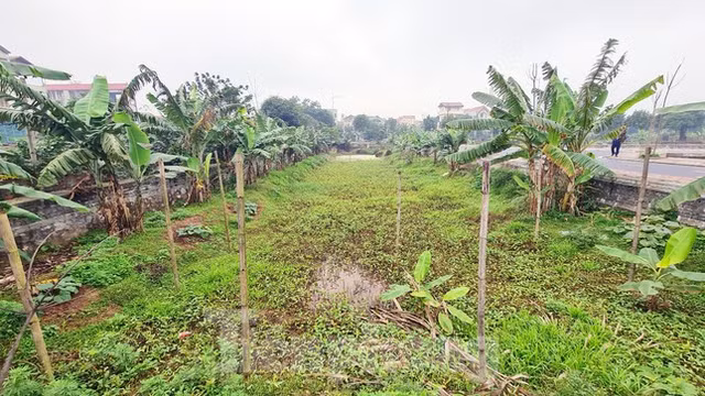 Can canh lo dat hon 3.000 m2 vi pham dau gia o huyen Dan Phuong-Hinh-10