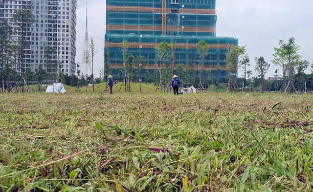 Cận cảnh tiến độ công trình công viên lớn nhất quận Nam Từ Liêm - Hình 11 Can canh tien do cong trinh cong vien lon nhat quan Nam Tu Liem-Hinh-11