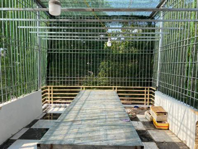 Con sot lan phi diep dot bien: Trai dang dau tien-Hinh-2