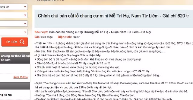 'Nha hop diem': Dau tu tien ty o thi do, ban khong ai mua-Hinh-2