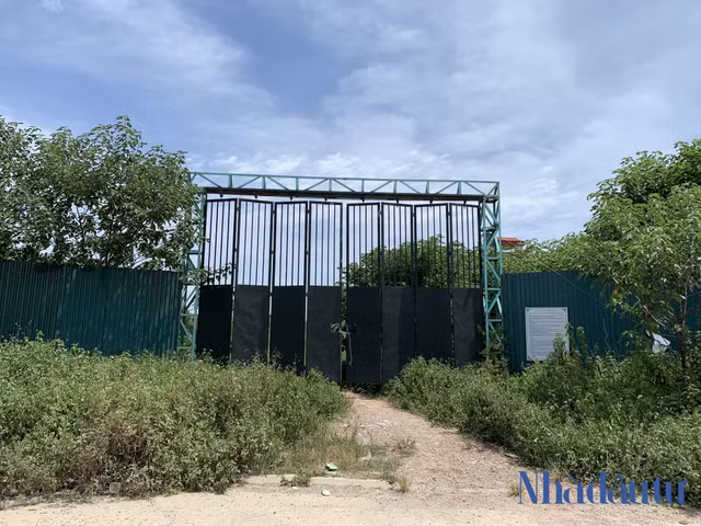 Vai tro nu tuong Nguyen Thi Loan khong may noi bat, Vimedimex rut khoi VietABank trong lang le-Hinh-2