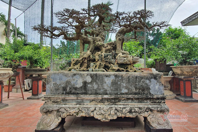 Chàng trai cả tuổi thơ mò cua bắt ốc nay có 'Ngai vàng đất Việt' chục tỷ - Hình 10 Chang trai ca tuoi tho mo cua bat oc nay co 'Ngai vang dat Viet' chuc ty-Hinh-10