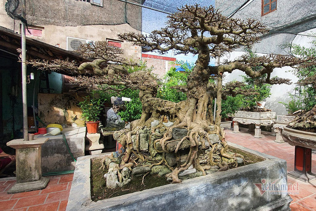 Chàng trai cả tuổi thơ mò cua bắt ốc nay có 'Ngai vàng đất Việt' chục tỷ - Hình 8 Chang trai ca tuoi tho mo cua bat oc nay co 'Ngai vang dat Viet' chuc ty-Hinh-8