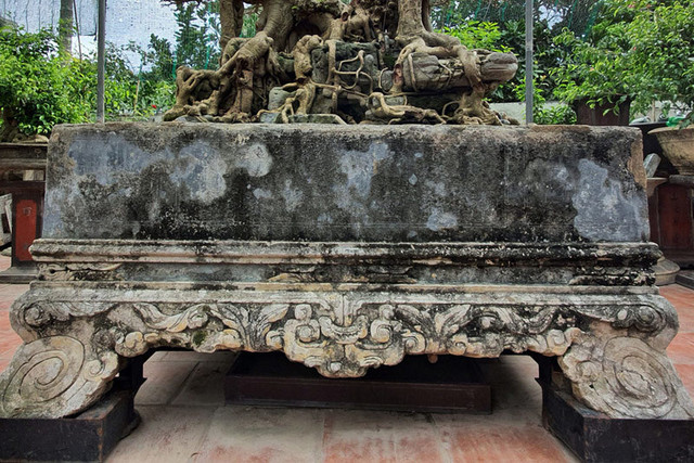 Chàng trai cả tuổi thơ mò cua bắt ốc nay có 'Ngai vàng đất Việt' chục tỷ - Hình 6 Chang trai ca tuoi tho mo cua bat oc nay co 'Ngai vang dat Viet' chuc ty-Hinh-6