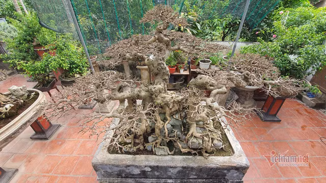 Chang trai ca tuoi tho mo cua bat oc nay co 'Ngai vang dat Viet' chuc ty-Hinh-13