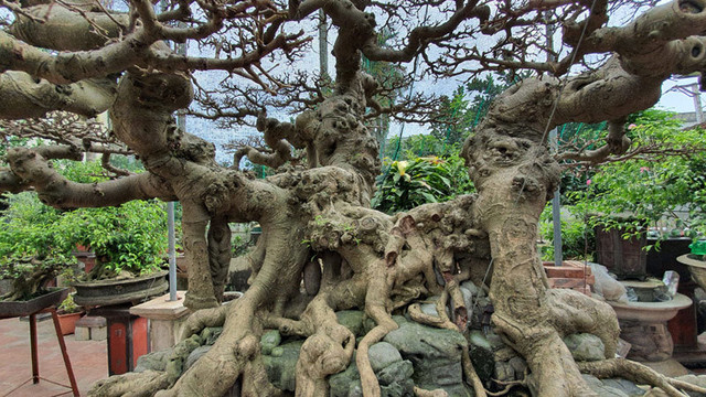 Chàng trai cả tuổi thơ mò cua bắt ốc nay có 'Ngai vàng đất Việt' chục tỷ - Hình 12 Chang trai ca tuoi tho mo cua bat oc nay co 'Ngai vang dat Viet' chuc ty-Hinh-12