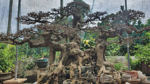Chàng trai cả tuổi thơ mò cua bắt ốc nay có 'Ngai vàng đất Việt' chục tỷ - Hình 3 Chang trai ca tuoi tho mo cua bat oc nay co 'Ngai vang dat Viet' chuc ty-Hinh-3