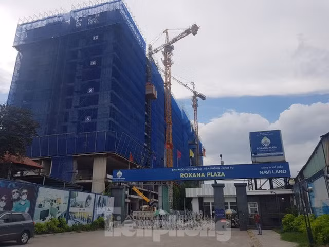 Binh Duong lap doan kiem tra lien nganh xu ly cac du an sai pham