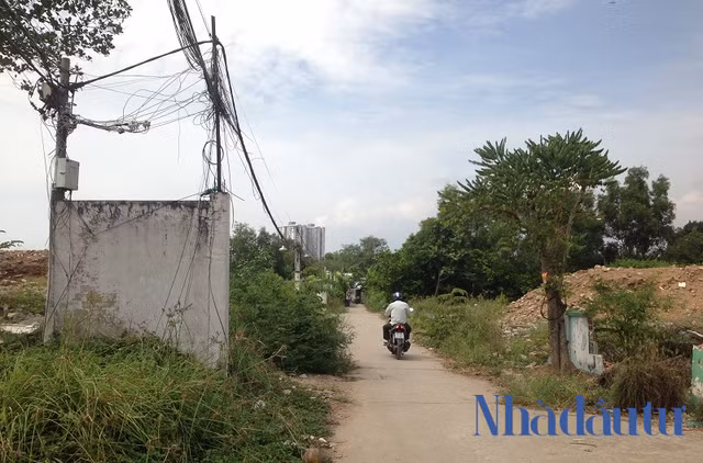 'Noi soi' du an Phuoc Kien, noi lay di nhieu nuoc mat cua Chu tich Quoc Cuong Gia Lai-Hinh-6