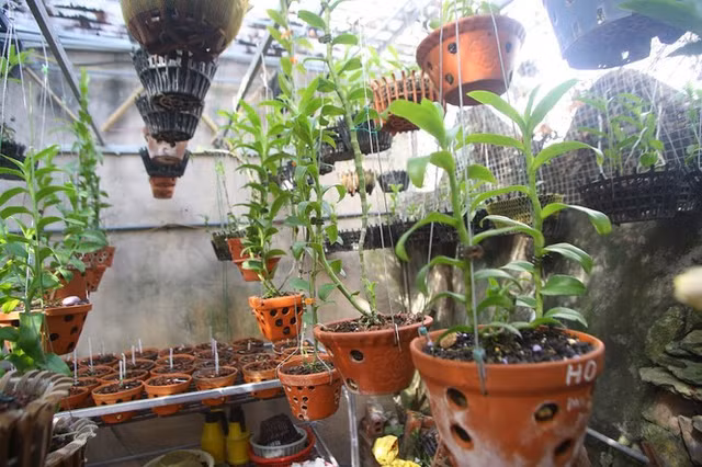 Nguoi choi lan dot bien tiet lo su that kho tin ve cac thuong vu mua - ban gan tram ti