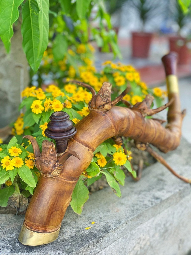 Chiec dieu cay dat vang, dai gia co tien cung khong the so huu-Hinh-8