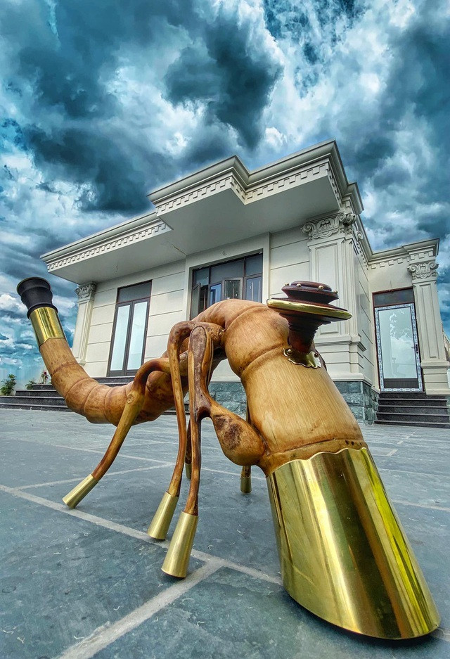 Chiec dieu cay dat vang, dai gia co tien cung khong the so huu-Hinh-9