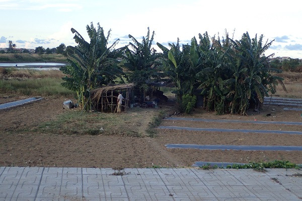 Ben trong du an nghin ty Vuon Phuong Hoang thanh bai chan bo o Phu Yen-Hinh-8