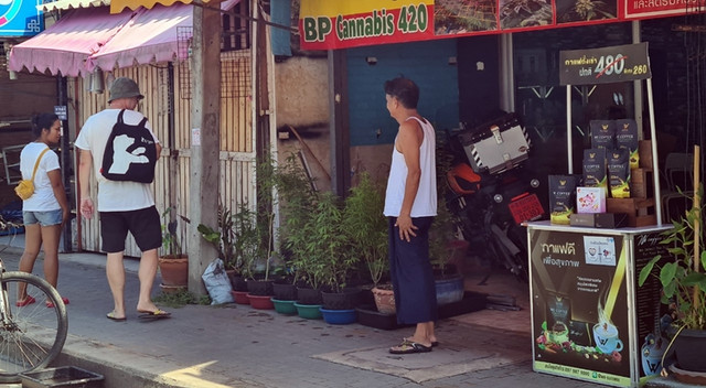 Cận cảnh cần sa bán khắp đường phố Pattaya, Thái Lan - Hình 3 Can canh can sa ban khap duong pho Pattaya, Thai Lan-Hinh-3