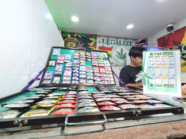 Cận cảnh cần sa bán khắp đường phố Pattaya, Thái Lan - Hình 6 Can canh can sa ban khap duong pho Pattaya, Thai Lan-Hinh-6