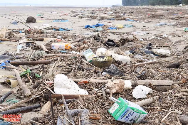 Sau 15 nam duoc cap phep, du an Golf Bien Cua Lo van chi la dat trong, nhech nhac-Hinh-7