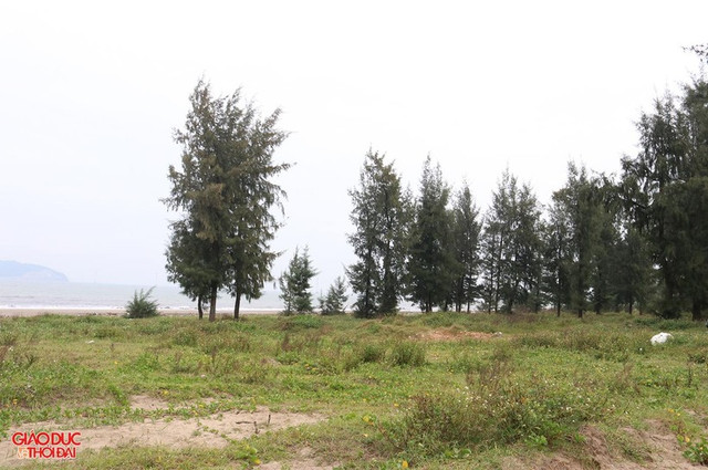 Sau 15 năm được cấp phép, dự án Golf Biển Cửa Lò vẫn chỉ là đất trống, nhếch nhác - Hình 2 Sau 15 nam duoc cap phep, du an Golf Bien Cua Lo van chi la dat trong, nhech nhac-Hinh-2