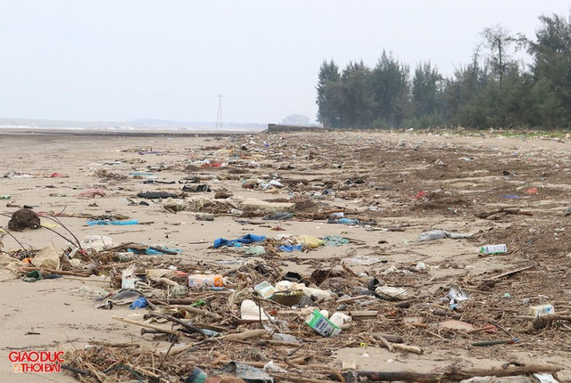 Sau 15 năm được cấp phép, dự án Golf Biển Cửa Lò vẫn chỉ là đất trống, nhếch nhác - Hình 6 Sau 15 nam duoc cap phep, du an Golf Bien Cua Lo van chi la dat trong, nhech nhac-Hinh-6