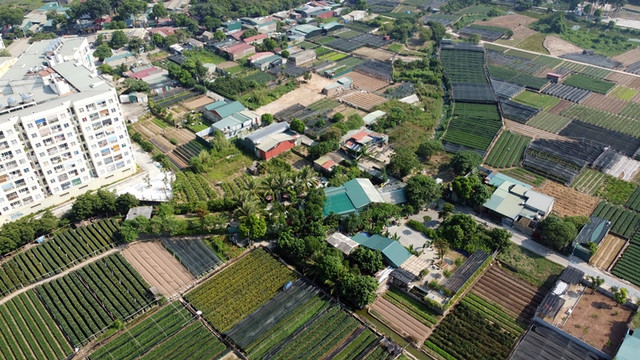 Can canh loat cong trinh xay tren dat nong nghiep o Bac Tu Liem-Hinh-5