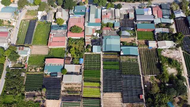 Can canh loat cong trinh xay tren dat nong nghiep o Bac Tu Liem-Hinh-3