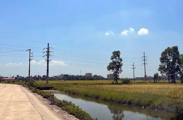 Ha Noi: Du an cho dau moi Bich Hoa bi to phan lo, “ban lua non“?-Hinh-5