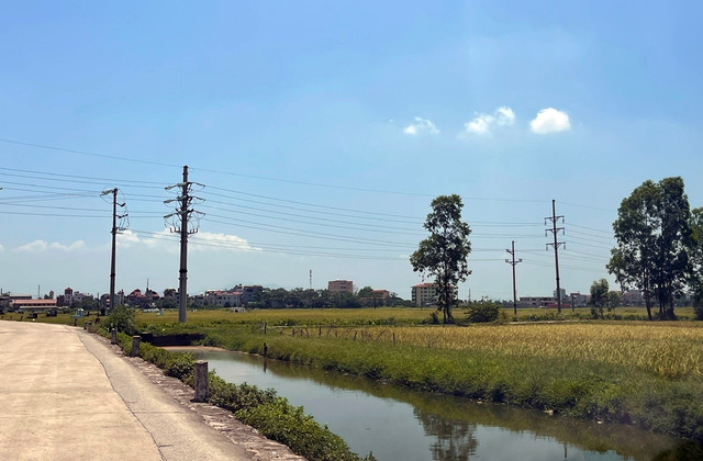 Ha Noi: Du an cho dau moi Bich Hoa bi to phan lo, “ban lua non“?-Hinh-5