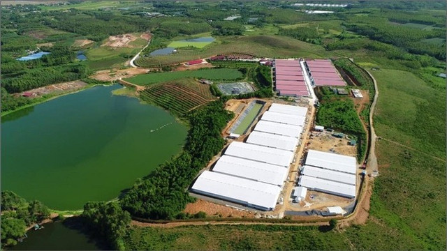 Dabaco kinh doanh thế nào mà bị phạt 300 triệu đồng về môi trường? Dabaco kinh doanh the nao ma bi phat 300 trieu dong ve moi truong?