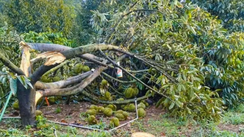 Mưa lốc gây thiệt hại nặng ở Lâm Đồng, một bé gái bị nước cuốn mất tích