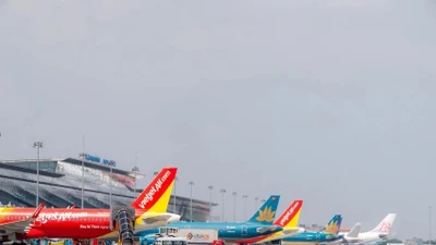 Tạm dừng khai thác một số chặng bay nội địa, khách hàng cần lưu ý gì?