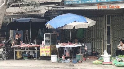 Chợ tạm, chợ cóc ở Hà Nội trước thời điểm bị dẹp bỏ 