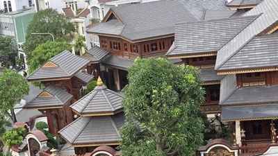 Toàn cảnh biệt thự xa hoa của chủ hệ thống Mailisa bị kiểm tra