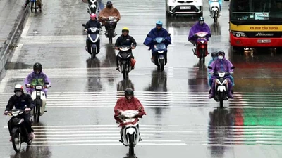 Ngày 15/2: Bắc Bộ có mưa nhỏ, đêm rét đậm, miền Trung nắng ấm