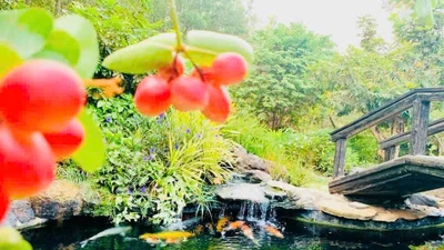 Hoàng Mập lên tiếng về tin đồn bán biệt thự, khẳng định lý do chính đáng