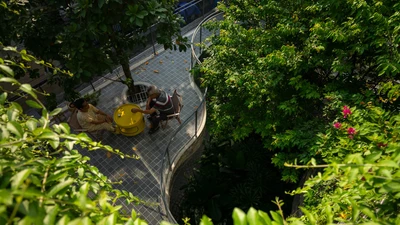 Chiêm ngưỡng nhà phố như "công viên thu nhỏ" giữa lòng Sài Gòn