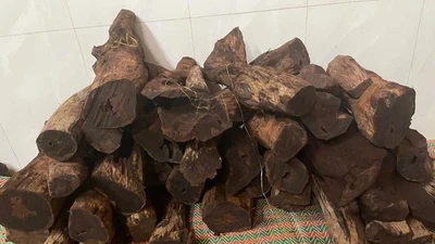 Loại gỗ "vô danh" 3 triệu đồng/kg ở Quảng Trị đang gây sốt có gì đặc biệt?
